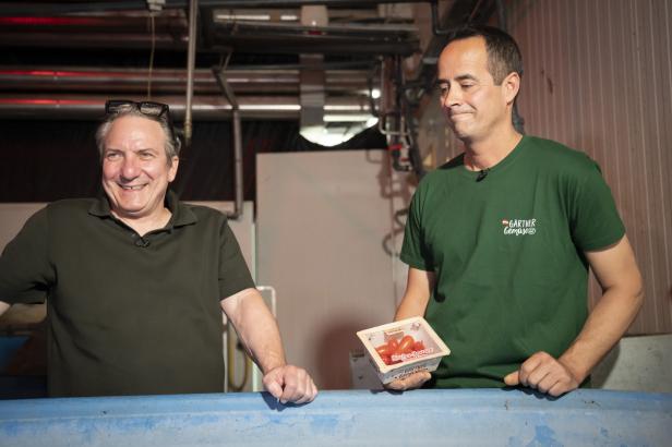 Zwei Männer stehen an einem blauen Becken, der linke Mann trägt ein schwarzes Poloshirt und hat eine Brille auf dem Kopf, der rechte Mann trägt ein grünes T-Shirt mit Aufdruck und hält eine Plastikverpackung mit Tomaten.