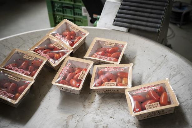 Mehrere kleine Holzschalen mit verpackten roten Tomaten auf einem runden, hellen Tisch.