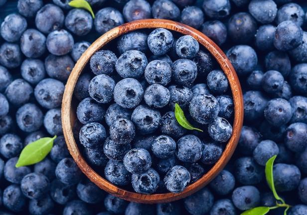Eine Schale mit Heidelbeeren umgeben von weiteren Heidelbeeren.