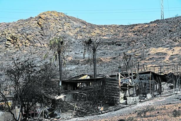 Los Gallardos fire left 12 people dead and more than 6,600 hectares burnt