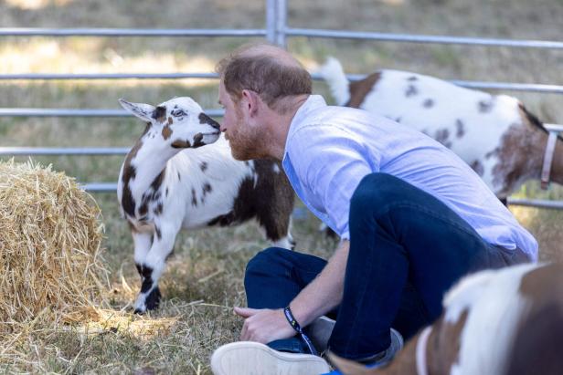 TOPSHOT-BRITAIN-ROYALS-CHARITY