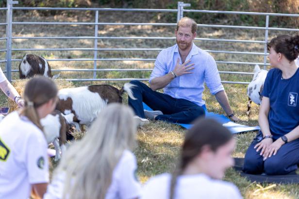 BRITAIN-ROYALS-CHARITY