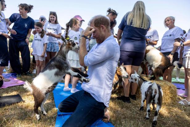 BRITAIN-ROYALS-CHARITY
