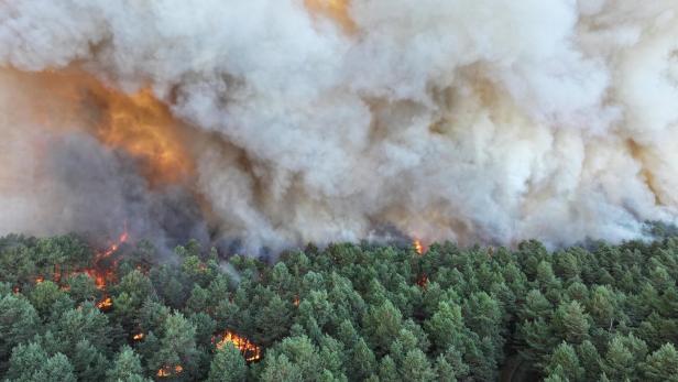 Major fire rages in Fontainebleau Forest