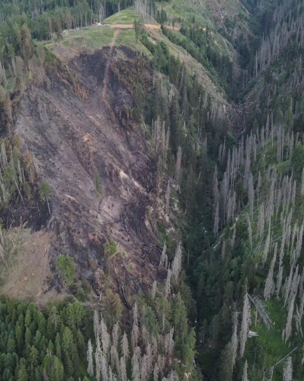 Waldbrand Osttirol