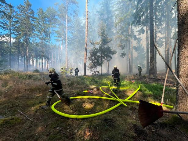Waldbrand Riegersburg