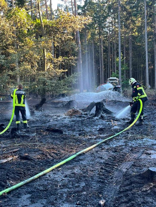 Waldbrand Riegersburg