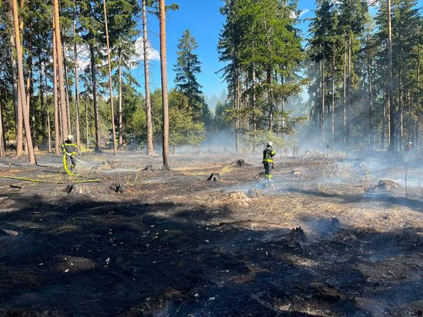 Waldbrand Riegersburg
