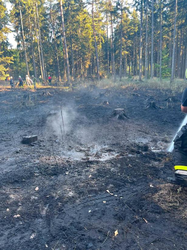 Waldbrand Riegersburg