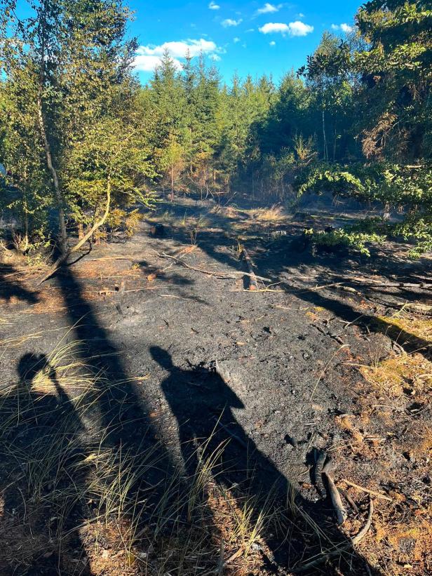Waldbrand Riegersburg