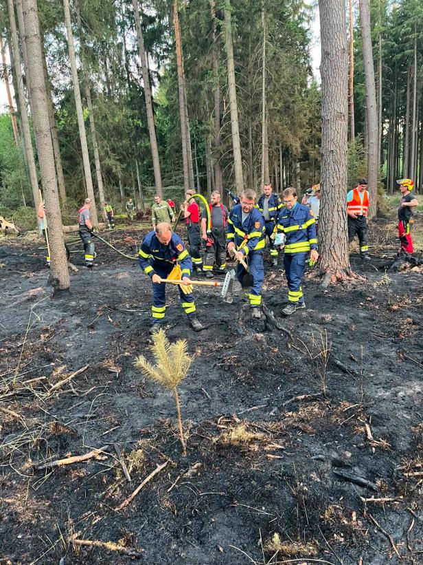 Waldbrand Riegersburg