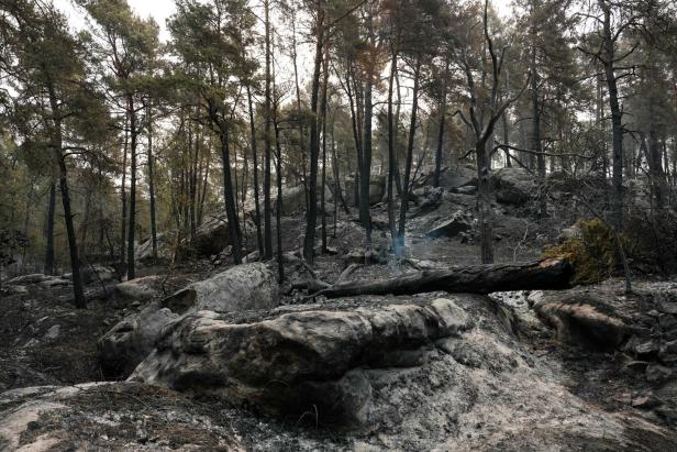 FRANCE-FIRE-WEATHER-CLIMATE-FOREST