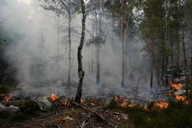 FRANCE-FIRE-WEATHER-CLIMATE-FOREST