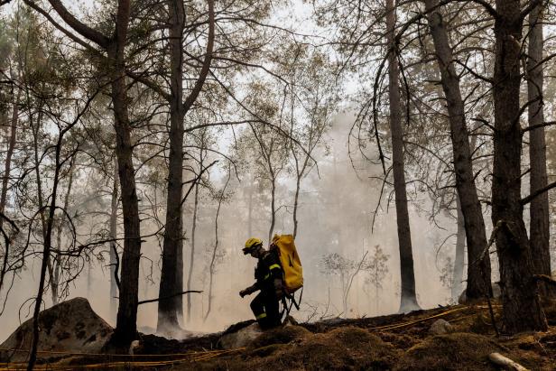 Major wildfire rages in Fontainebleau Forest near Paris
