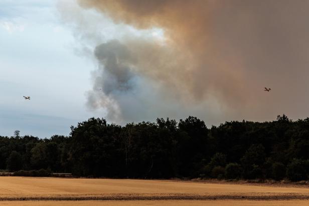 Major wildfire rages in Fontainebleau Forest near Paris