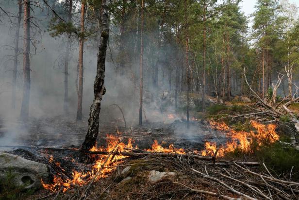 TOPSHOT-FRANCE-FIRE-WEATHER-CLIMATE-FOREST