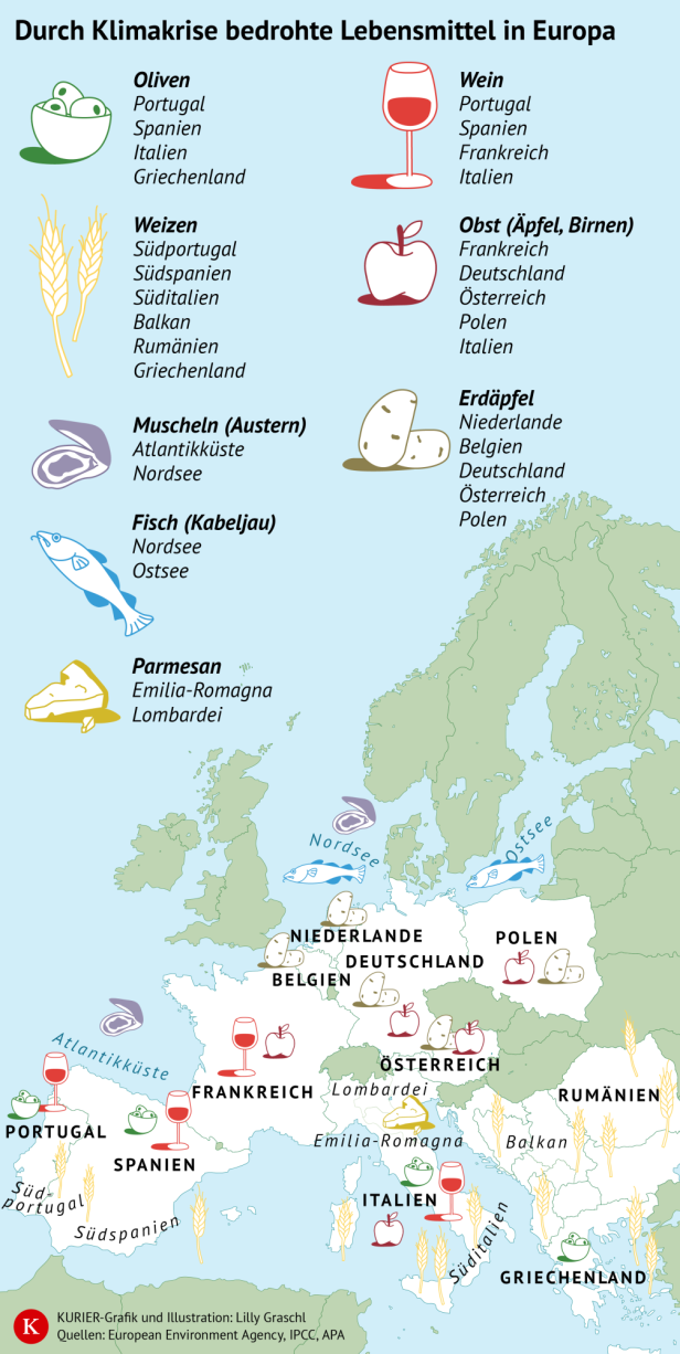 Infografik zeigt gefährdete Lebensmittel in Europa und ihre Anbau- oder Fangregionen, darunter Oliven, Wein, Weizen, Obst, Muscheln, Fisch und Parmesan.
