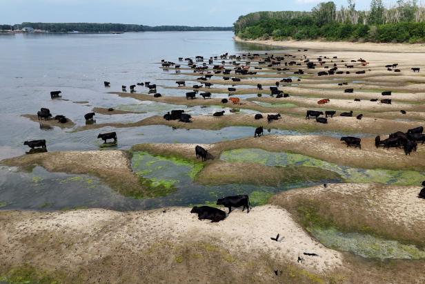 Water levels of the Danube river in Romania fell to their lowest levels in three decade
