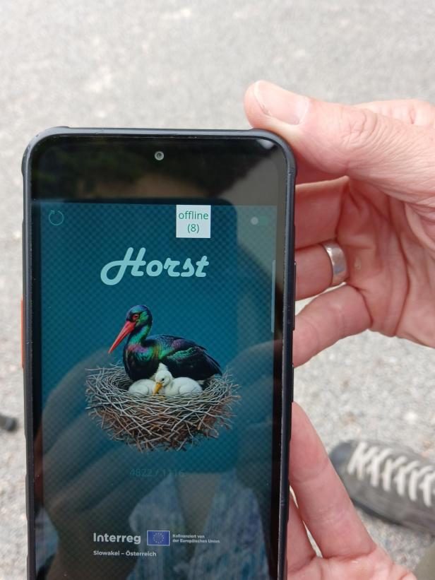 Greifvögel und Störche ohne Grenzen