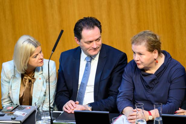 NATIONALRAT-SONDERSITZUNG MIT REGIERUNGSERKLÄRUNG: TANNER / TOTSCHNIG / SCHUMANN