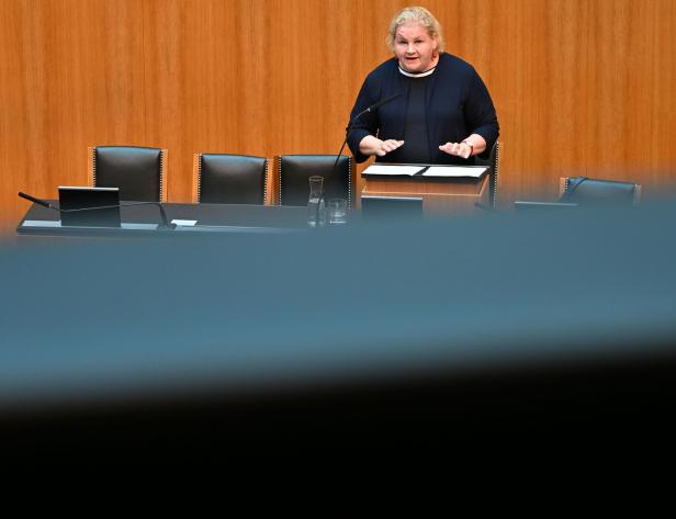 NATIONALRAT MIT BUDGETREDE: SCHUMANN (SPÖ)
