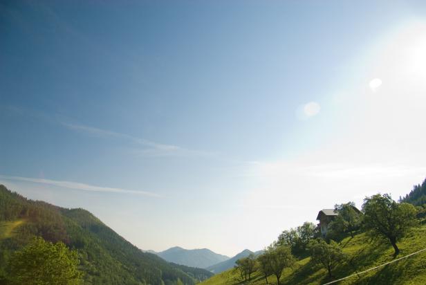 Sonnige Berglandschaft mit grünen Hängen, Bäumen und einem Haus am Hang.