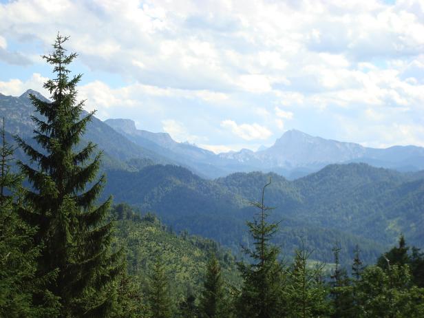 Rothwald