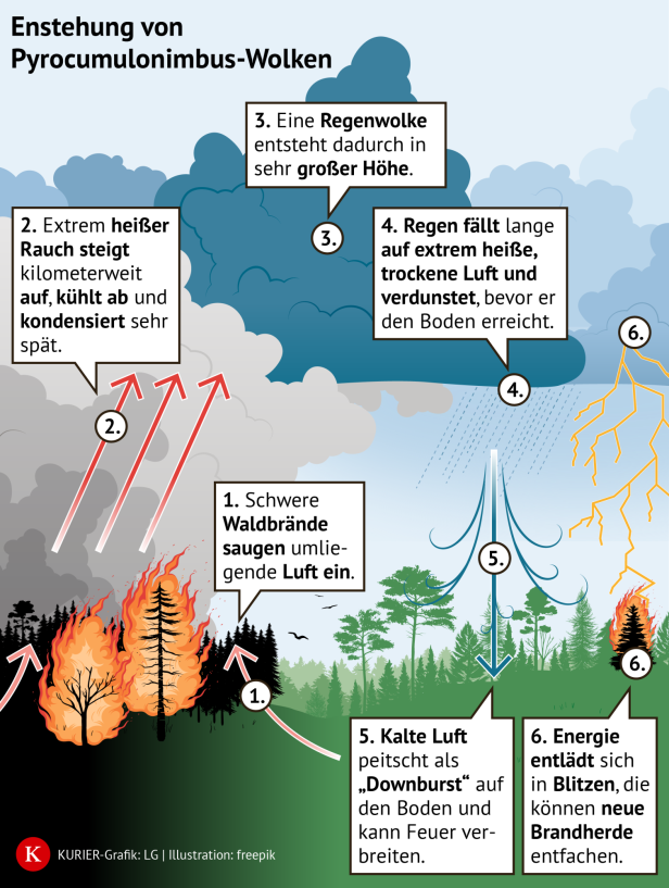 Grafik zeigt die Entstehung einer Pyrocumulonimbus-Wolke über einem Waldbrand.