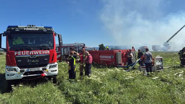Feuerwehrleute bekämpfen Brand auf einem Feld mit Löschfahrzeugen.