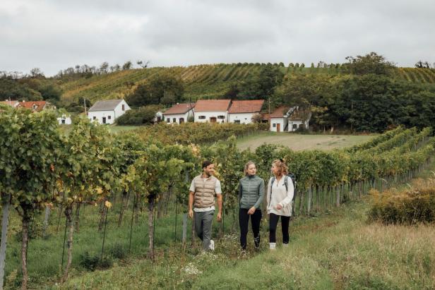 Drei Personen in den Weinbergen 