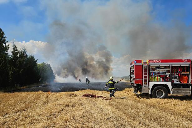 Mehrere Feuerwehrleute und ein Feuerwehrauto auf einem brennenden Feld bei Löscharbeiten.