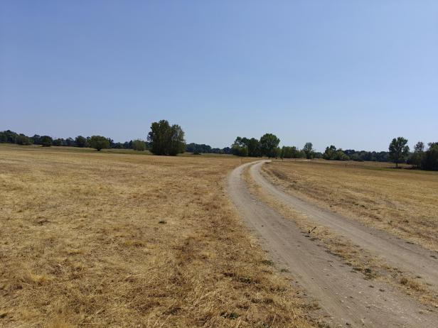 Rabensburg Thaya-Au