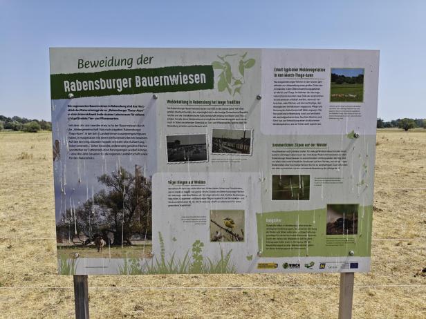 Rabensburg Thaya-Au