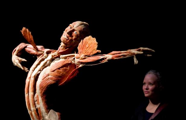 FILES-GERMANY-SCIENCE-ARTS-BODYWORLDS-VON HAGENS-OBIT