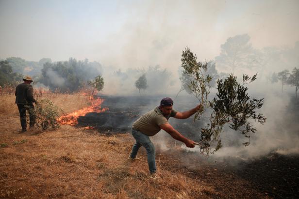 Wildfire burns in Greece
