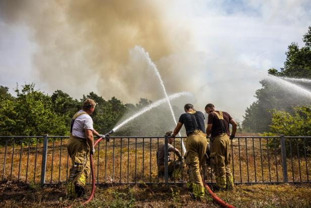 Wildfire breaks out in Rosmolen nature reserve in northern Limburg