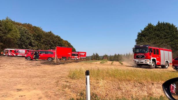 Mehrere rote Feuerwehrfahrzeuge stehen auf einem trockenen Feldweg, ein Fahrzeug fährt Staub auf.