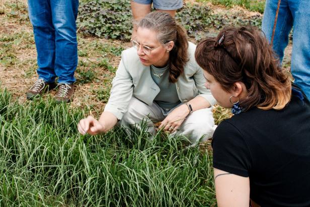 Zwei Frauen knien im Gras und begutachten eine Pflanze, während weitere Personen danebenstehen.