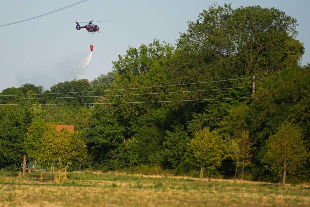 WIEN: FEUERWEHREINSATZ WEGEN WALDBRAND IN LOBAU
