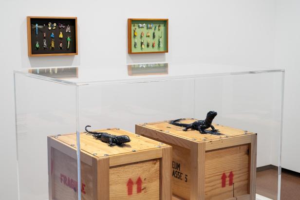 Vitrinen mit Reptil-Skulpturen und Insektenbildern in einer weißen Ausstellungshalle.