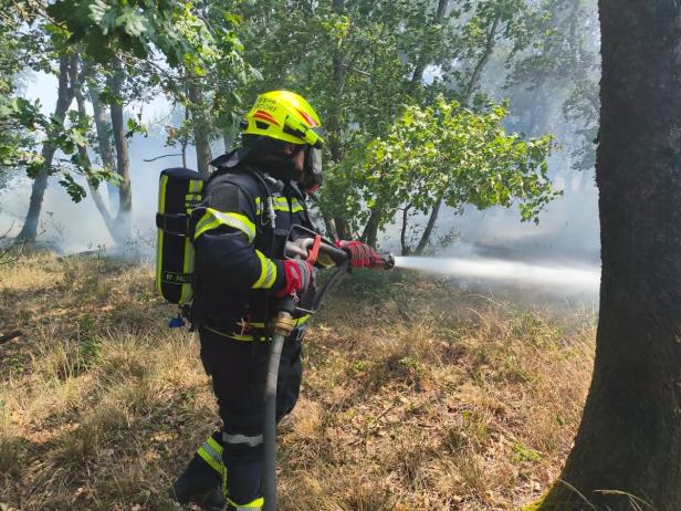 Vegetationsbrand Gänserndorf