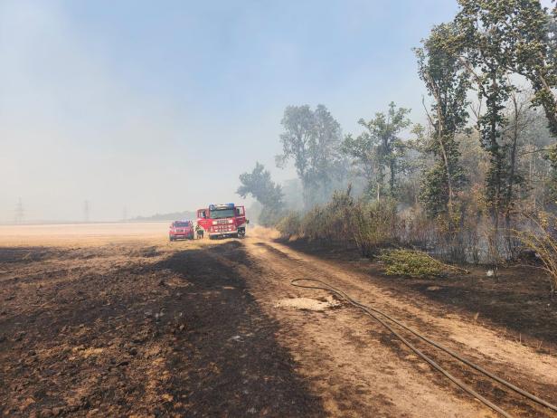 Vegetationsbrand Gänserndorf