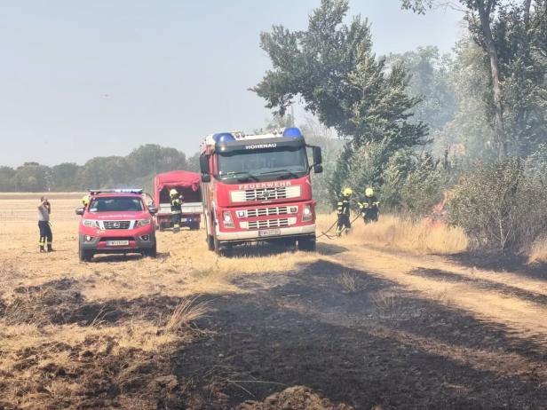 Vegetationsbrand Gänserndorf