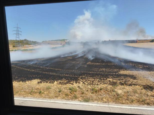 Vegetationsbrand Gänserndorf