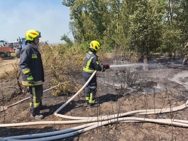 Vegetationsbrand Gänserndorf