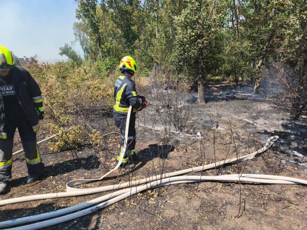 Vegetationsbrand Gänserndorf