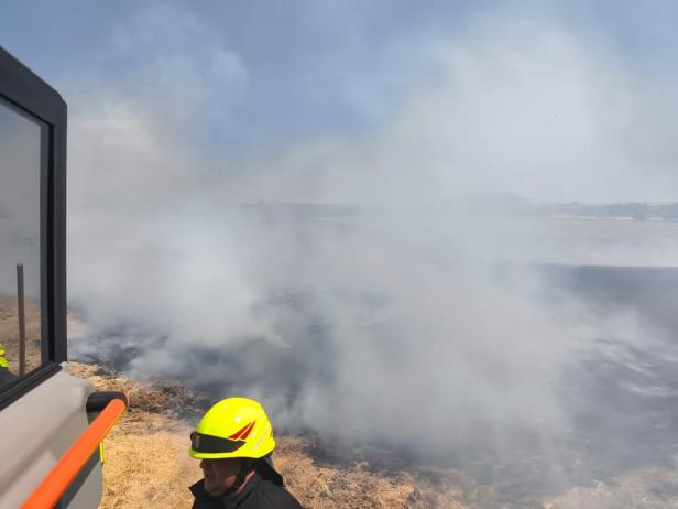 Vegetationsbrand Gänserndorf