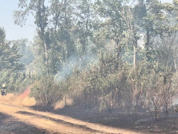 Vegetationsbrand Gänserndorf