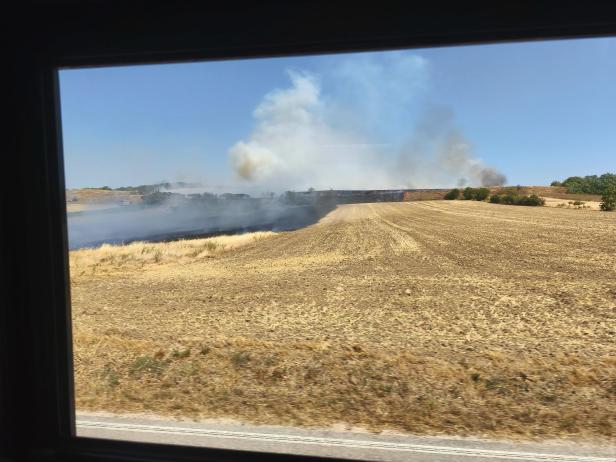 Vegetationsbrand Gänserndorf