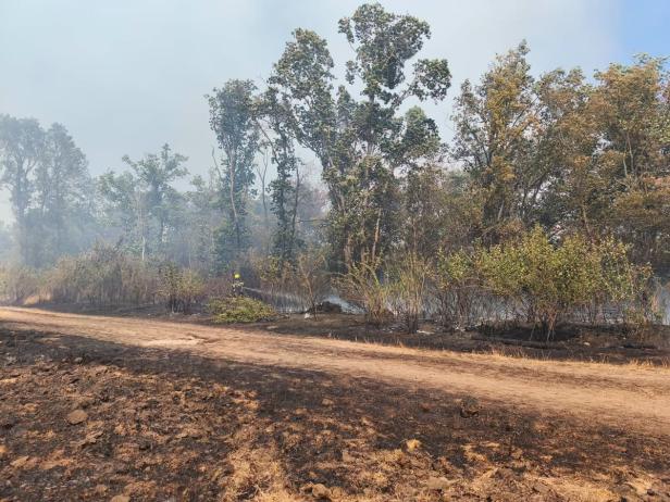 Vegetationsbrand Gänserndorf